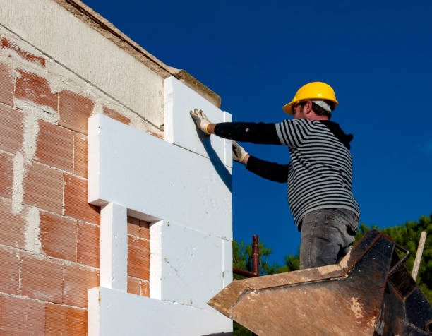 Best Insulation Replacement Services  in Elm Creek, TX