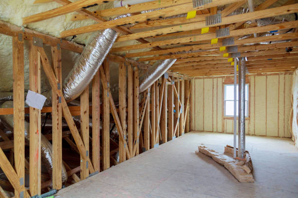 Best Wall Insulation Contractor  in Elm Creek, TX