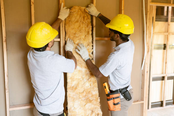 Best Insulation Inspection Services  in Elm Creek, TX