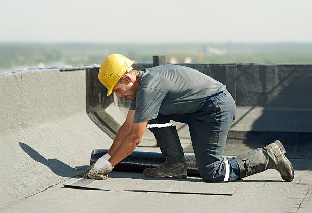 Best Energy-efficient Insulation  in Elm Creek, TX